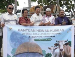 Hari Idhul Adha, PT GKP Serahkan Bantuan Sapi Kurban ke Masyarakat di Wawonii