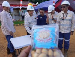 Moment HUT RI ke-79, PT GKP Kembali Kenalkan Produk UMKM