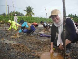 PT GKP Gelar Aksi Bersih Desa dan Penanaman Mangrove Peringati Hari Lingkungan Hidup